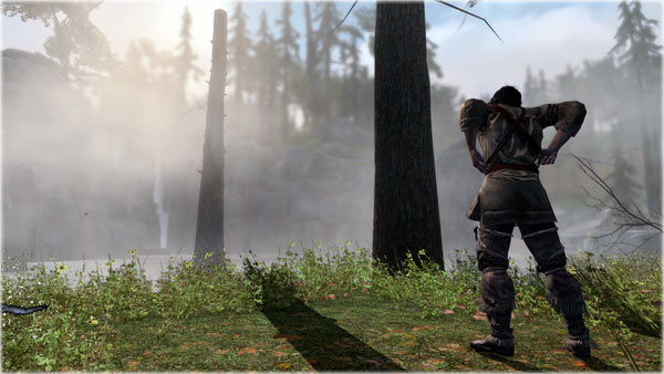 Ubisoft_AC3_Graphics_Shadows_Tearing.jpg