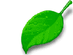 IOCELL_Networks_NetDISK_351UNE_NDAS_features-eco.png
