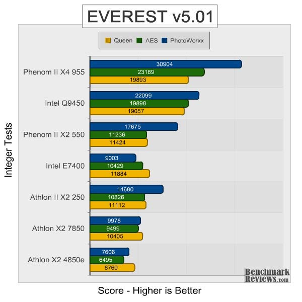 athlon_II_x2_250_everest_integer.jpg
